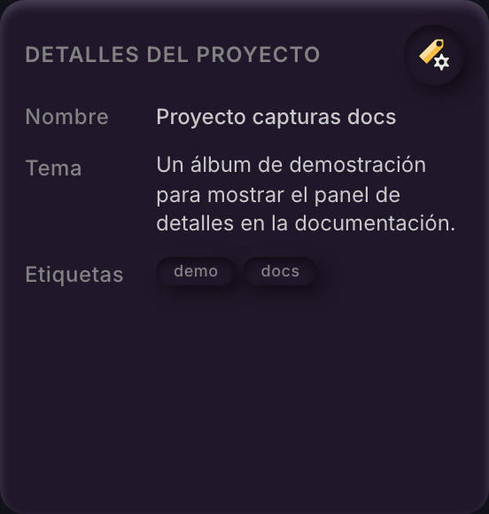 La tarjeta Detalles del proyecto mostrando el nombre de un proyecto, su descripción Tema y sus etiquetas
